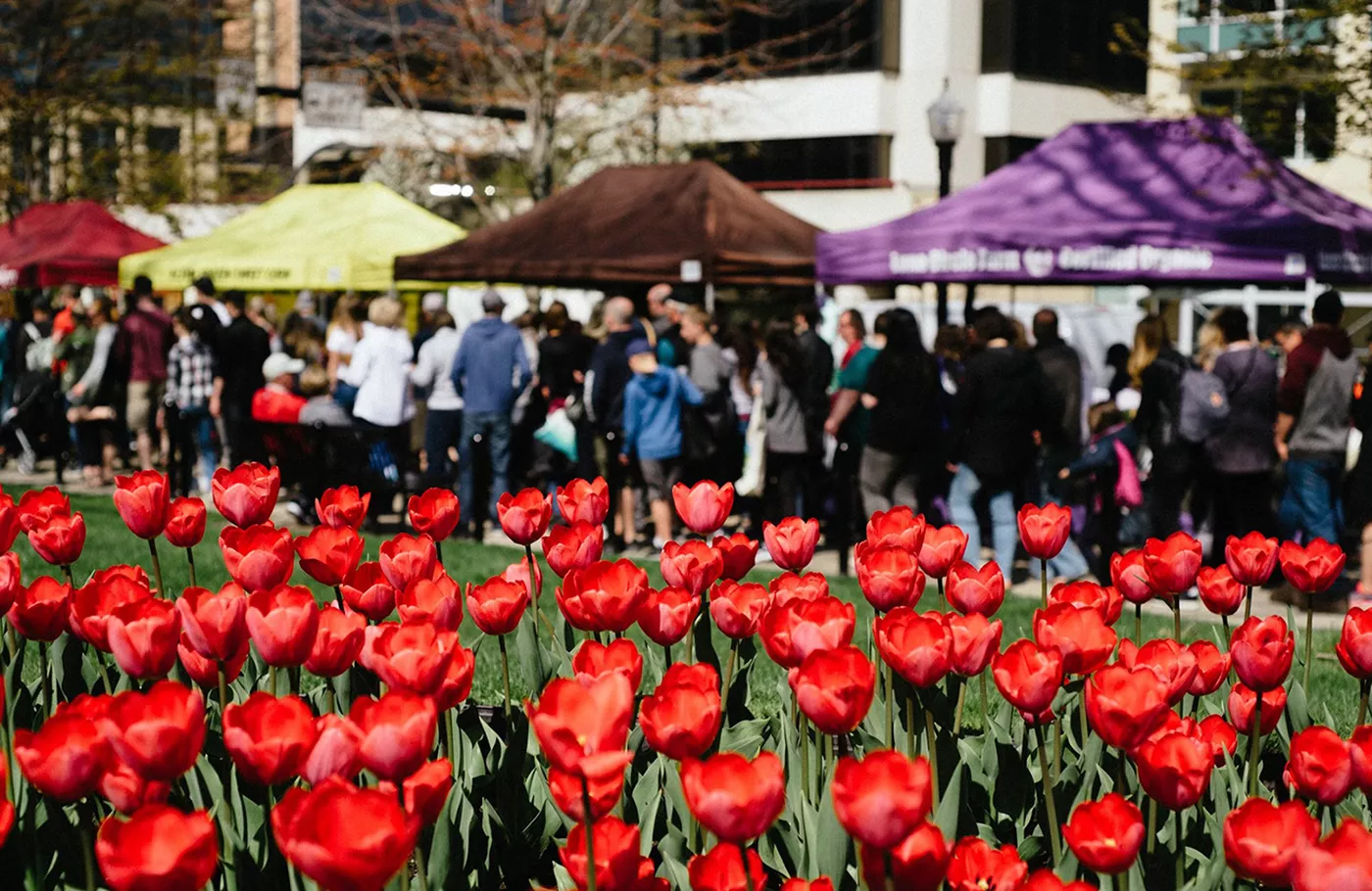 Dane County Farmer's Market