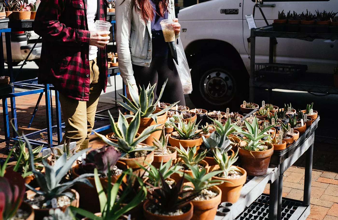 Dane County Farmer's Market