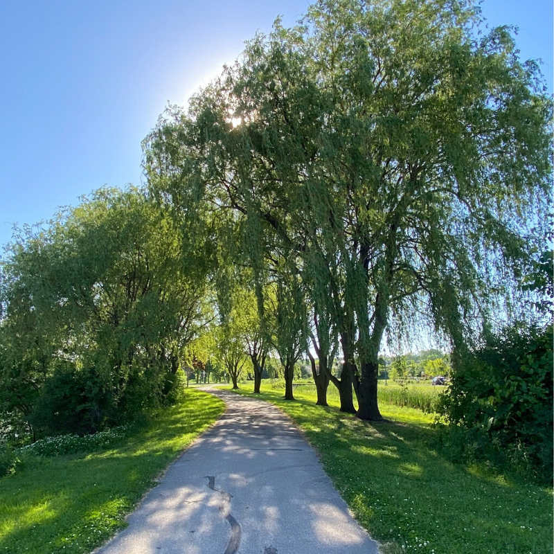 Madison Wisconsin Park